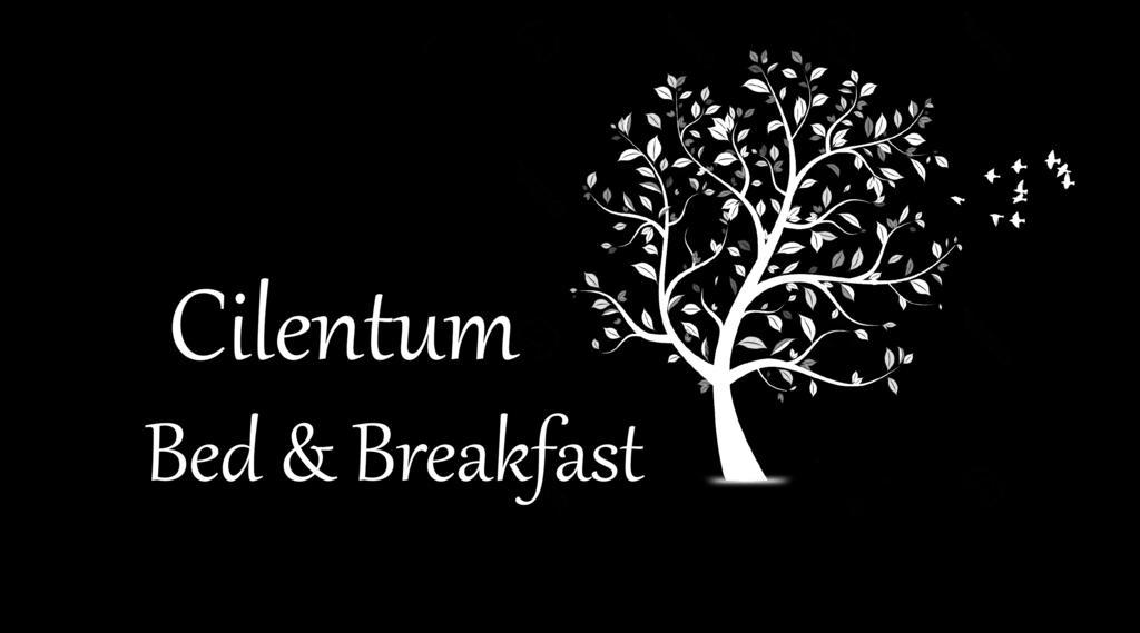 B&B Cilentum Agropoli Eksteriør bilde