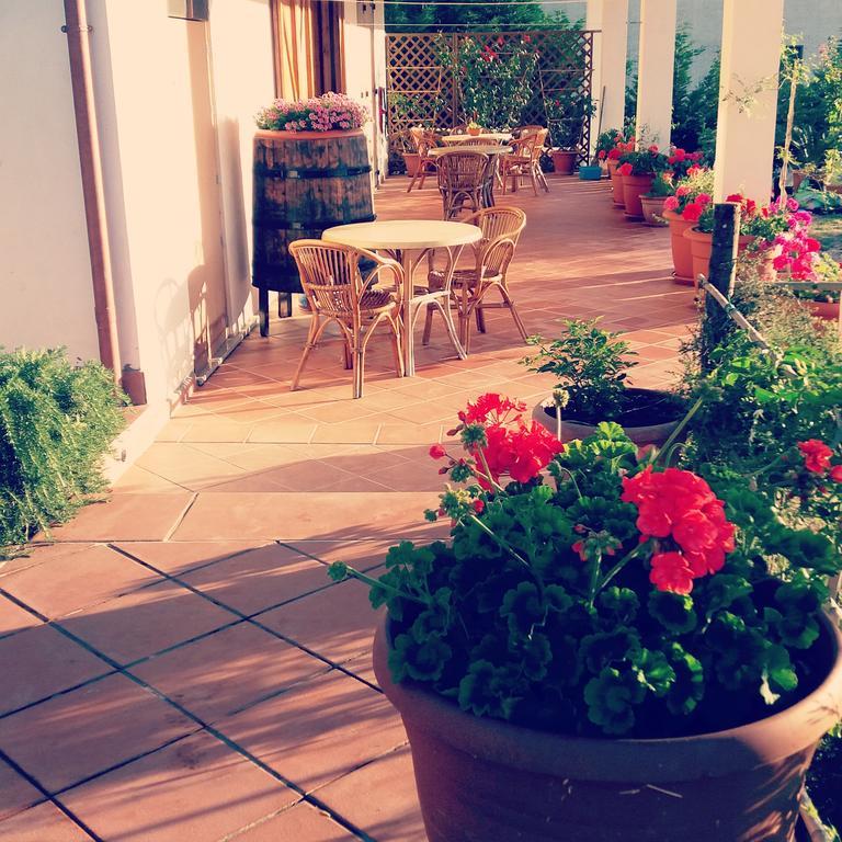 B&B Cilentum Agropoli Eksteriør bilde